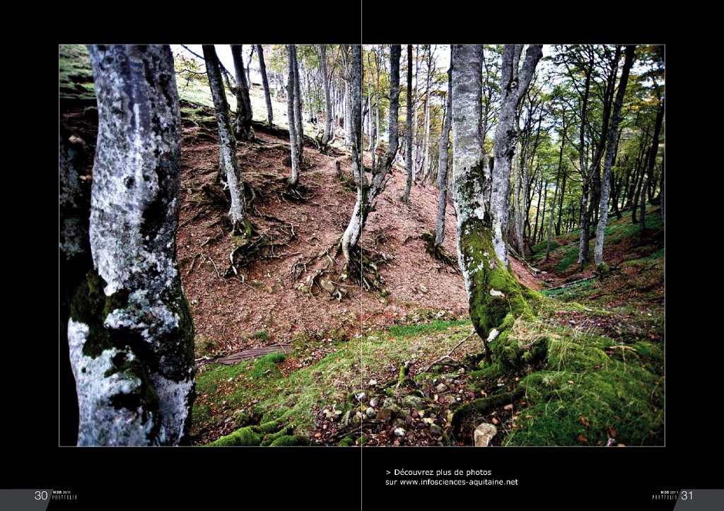 be porfolio def-6.JPG